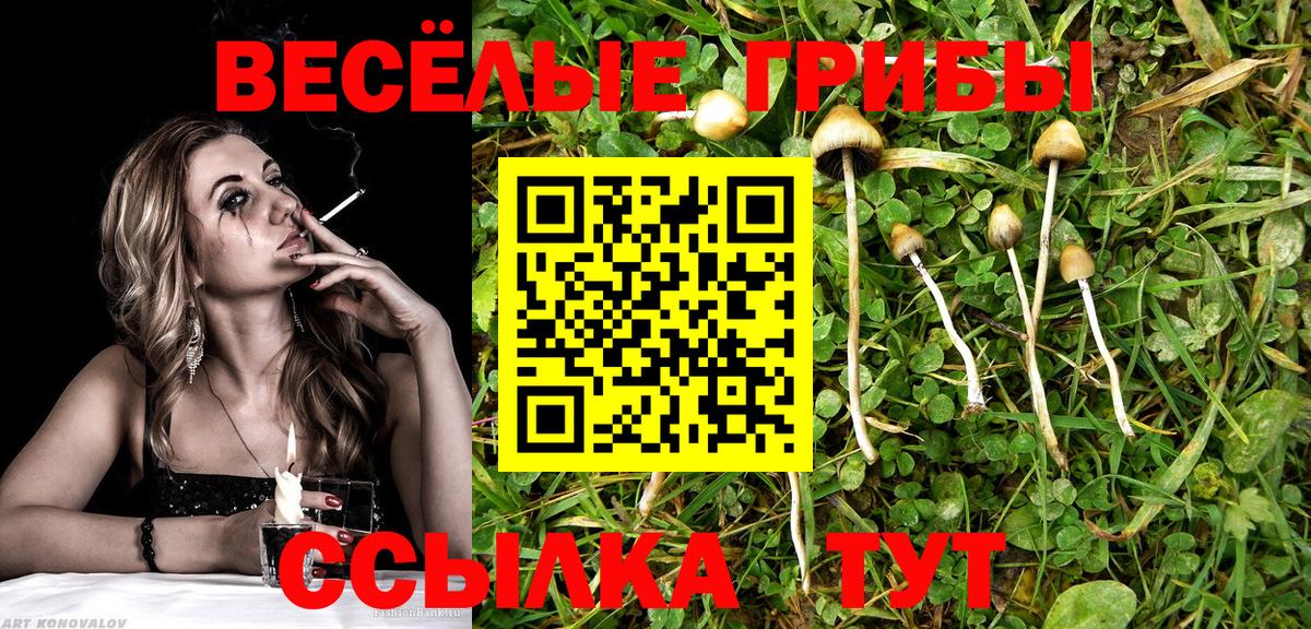 продажа наркотиков  Вход с VPN  Ноябрьск  Галлюциногенные грибы GOLDEN TEACHER 